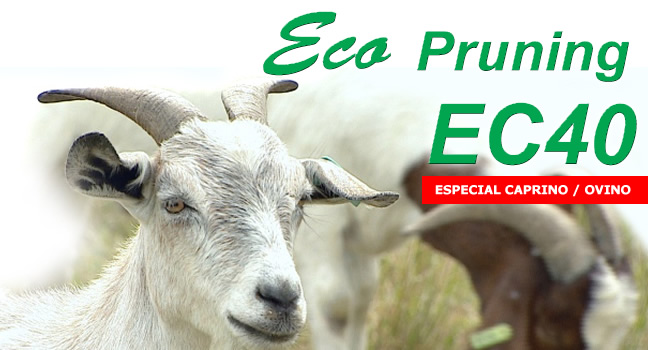 Eco Pruning EC40 HOOF