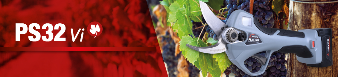 Trellised vineyard pruning with ARVIPO PS32 Vi Shears.